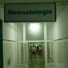 neonatologie (5)