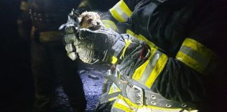VIDEO Bărbat, găsit mort în incendiul de la Nănesti