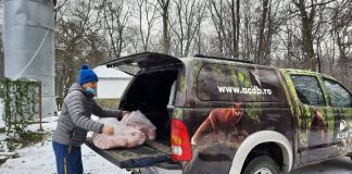 Sprijin privat pentru îngrijirea animalelor de la Centrul pentru Reabilitarea Faunei Sălbatice