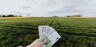 APIA: continuă autorizarea plăților regulare către fermieri pentru Campania 2020