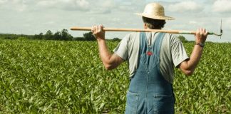 Lucrătorii din agricultură și industria alimentară vor prioritate la vaccinarea împotriva COVID-19