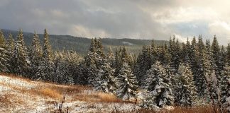 Meteo: iarnă destul de blândă și în următoarele două săptămâni