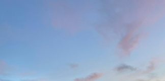 S-au ales cu dosare penale după ce au condus mașinile fără permis