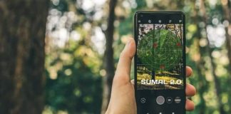 Sistemul de urmărire a tăierilor de pădure SUMAL va funcționa din 31 ianuarie