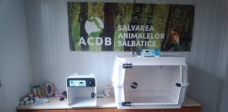 Centrul pentru Reabilitarea faunei Sălbatice are două unități de terapie intensivă