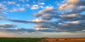 Guvernul a aprobat schemele de plăți APIA pentru anii 2021-2022