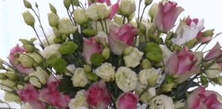 Ce nereguli au descoperit inspectorii de muncă la florari și la firmele de pompe funebre și comerț cu animale de companie