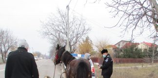 Căruțași amendați de Poliția Locală după ce au aruncat deșeuri pe un teren de la marginea Focșaniului