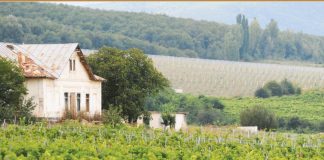 Moștenitorii lui Duiliu Zamfirescu vor să doneze Consiliului Județean Vrancea casa și terenul din Vârteșcoiu, ce au aparținut ilustrului scriitor