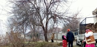 Pentru că nu au prestat muncă în folosul comunității, 7 focșăneni au rămas fără ajutor social