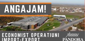 Posturi vacante pentru absolvenți de studii superioare la Pandora Prod