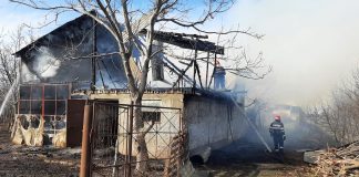FOTO-VIDEO Grajd distrus de flăcări, tânăr ars pe mâini, animale carbonizate