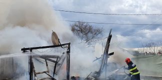 Un foc pus intenționat a distrus un grajd din comuna Nereju