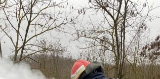 ULTIMA ORĂ O mașină s-a aprins în trafic, pe E85