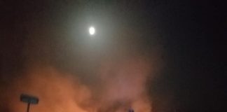 Incendiu de vegetație în comuna Dumitrești