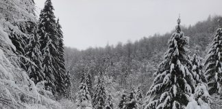 FOTO Recomandări de la jandarmi pentru turiștii care vor să meargă la munte