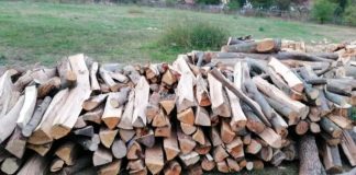 Cum poți transporta lemne dacă nu ești înregistrat în sistemul SUMAL