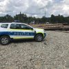 lemne politie