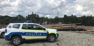 Controale pe linie silvică la Năruja și Nereju, încheiate cu amenzi, confiscări și dosare penale