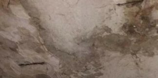 Condiții insalubre de trai în locuințele sociale ale Primăriei Focșani