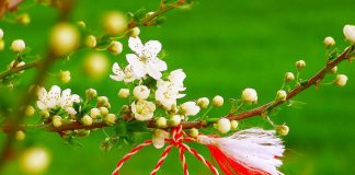 Ministrul Educației despre varianta interzicerii oferirii de flori și mărțișoare, la școală: ”Nu cred că o astfel de măsură ar fi putut fi pusă în practică”