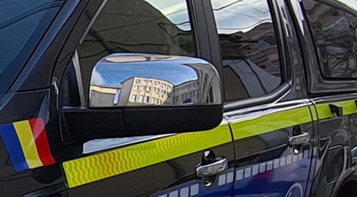 Câine abandonat pe un teren din Dumbrăveni / Proprietara, amendată drastic