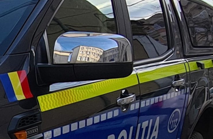 Câine abandonat pe un teren din Dumbrăveni / Proprietara, amendată drastic