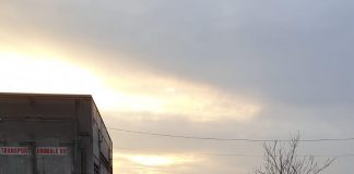 IPJ Vrancea: cele mai multe amenzi se dau, zilnic, pentru nepurtarea măștii de protecție