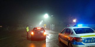 Copile plecate noaptea de acasă, găsite cu ajutorul poliției