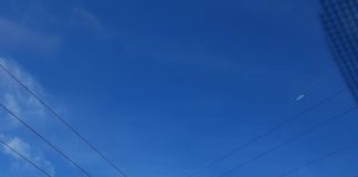 ULTIMA ORĂ Bărbatul urcat pe stâlp a acceptat să fie ajutat să coboare