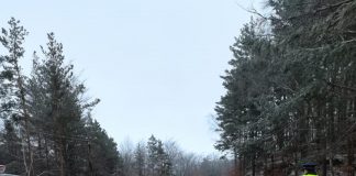 Controale neîntrerupte privind respectarea măsurilor stabilite prin starea de alertă. Două sute de amenzi date în ziua de duminică