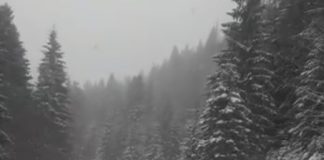 VIDEO Zăpada s-a depus în zonele montane