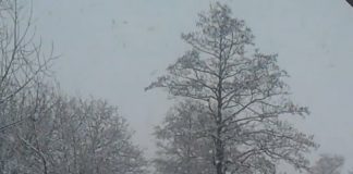 VIDEO Martie, iarnă ca-n povești