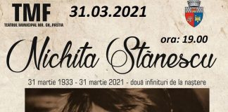 Dacă știi o poezie de Nicihita Stănescu poți urca pe scena Teatrului Municipal