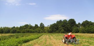 Atenție: 30 septembrie 2025 – ultima zi pentru semnarea Cererilor de plată la APIA!