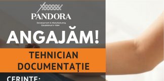 Pandora Prod caută personal calificat