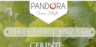 Crama Cotești caută director de vânzări