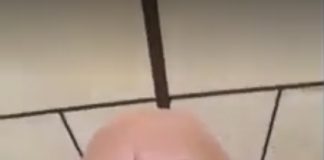 Lume multă la înmormântarea bulibașei Marcel Codreanu