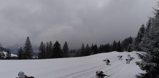 FOTO Pregătire specială, la munte, pentru cercetașii Brigăzii 282 ”Unirea Principatelor” Focșani