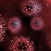 coronavirus 1