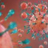 coronavirus 3