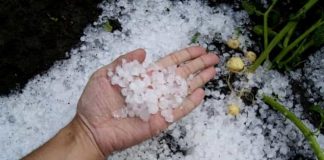 ULTIMA ORĂ Cod portocaliu de grindină în zona de nord a județului