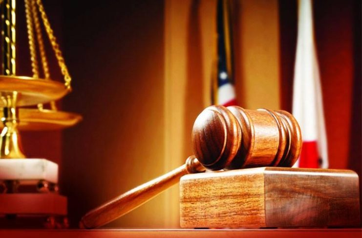 Activitatea desfășurată de Judecătoriile Adjud și Panciu în anul 2025