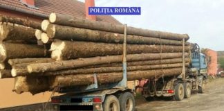 Cetăţenii care au suspiciuni cu privire la un transport de lemne pot suna la 112
