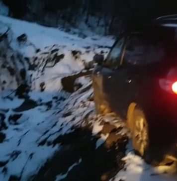 Bărbat găsit fără suflare, în pădure