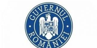 Proiecte: tichetul de creșă – 480 lei, tichetul de masă – 20,01 lei