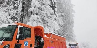 FOTO DN2D, blocat la Ojdula, la limita cu Vrancea, din cauza unui copac căzut pe carosabil