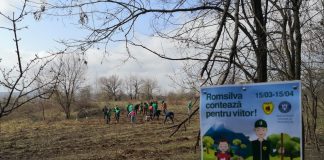 Cum va derula Direcția Silvică Vrancea campania de împădurire din această primăvară