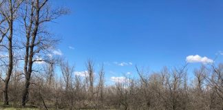 Proiect de protejare a sitului Natura 2000 Lunca Siretului Inferior