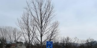 Amenzi de peste 32.000 lei date de oamenii legii, de Mărțișor, pentru nerespectarea măsurilor de protecție și combatere a pandemiei